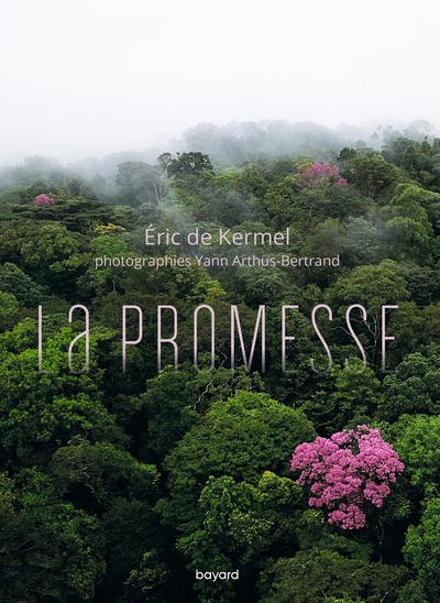 La promesse (9782227500297-front-cover)