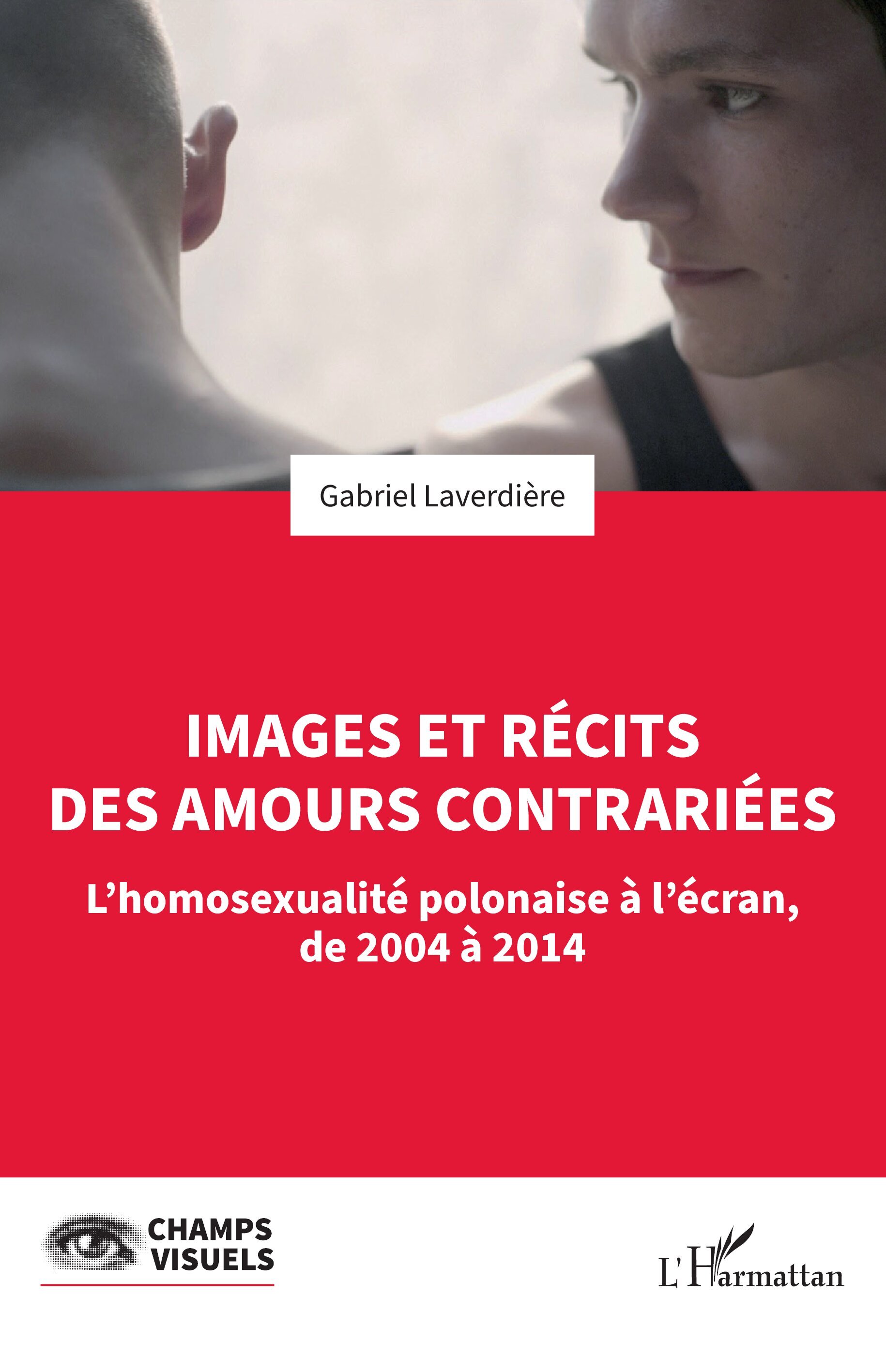 Images et récits des amours contrariées, L’homosexualité polonaise à l’écran, de 2004 à 2014 (9782336583228-front-cover)