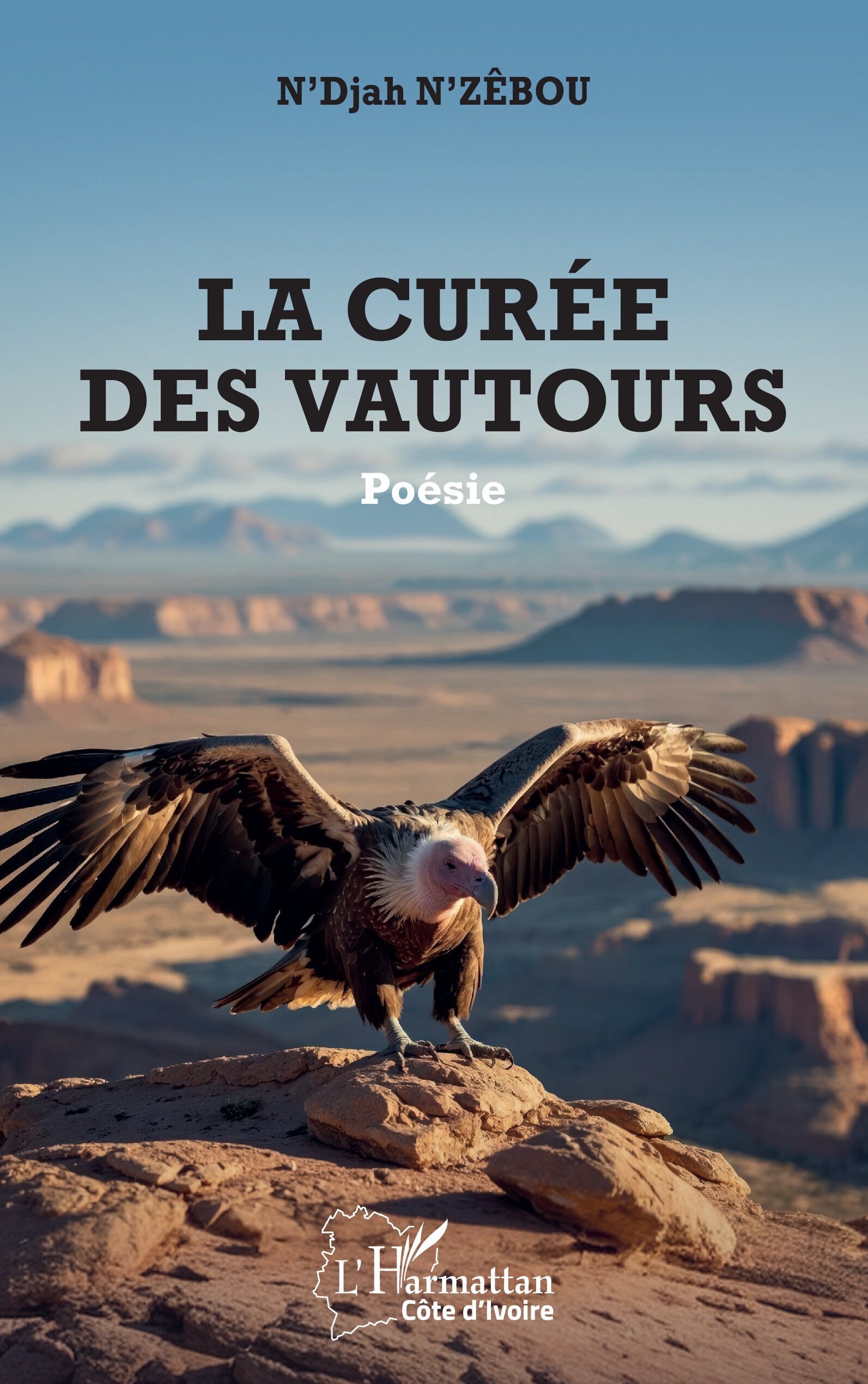 La curée des vautours (9782336580227-front-cover)