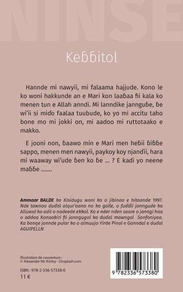 Ninse, Kebbitol (9782336573380-back-cover)