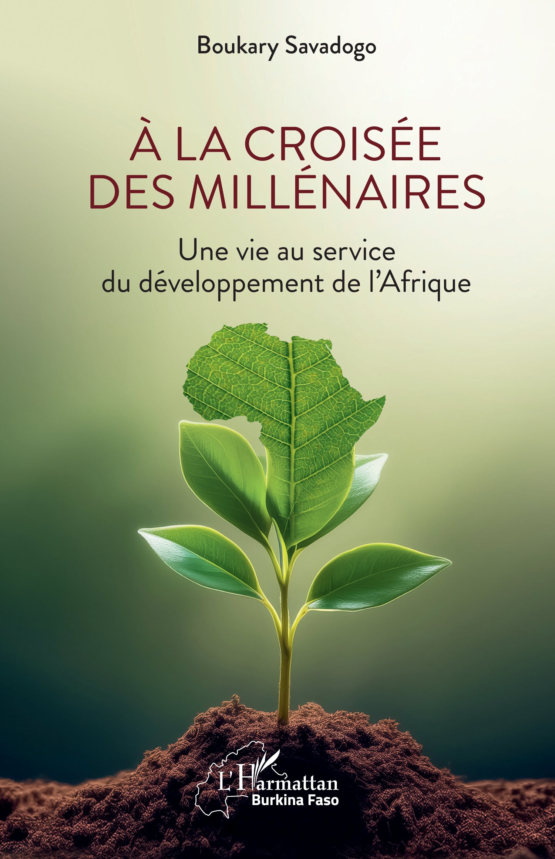 À la croisée des millénaires, Une vie au service du développement de l’Afrique (9782336528823-front-cover)
