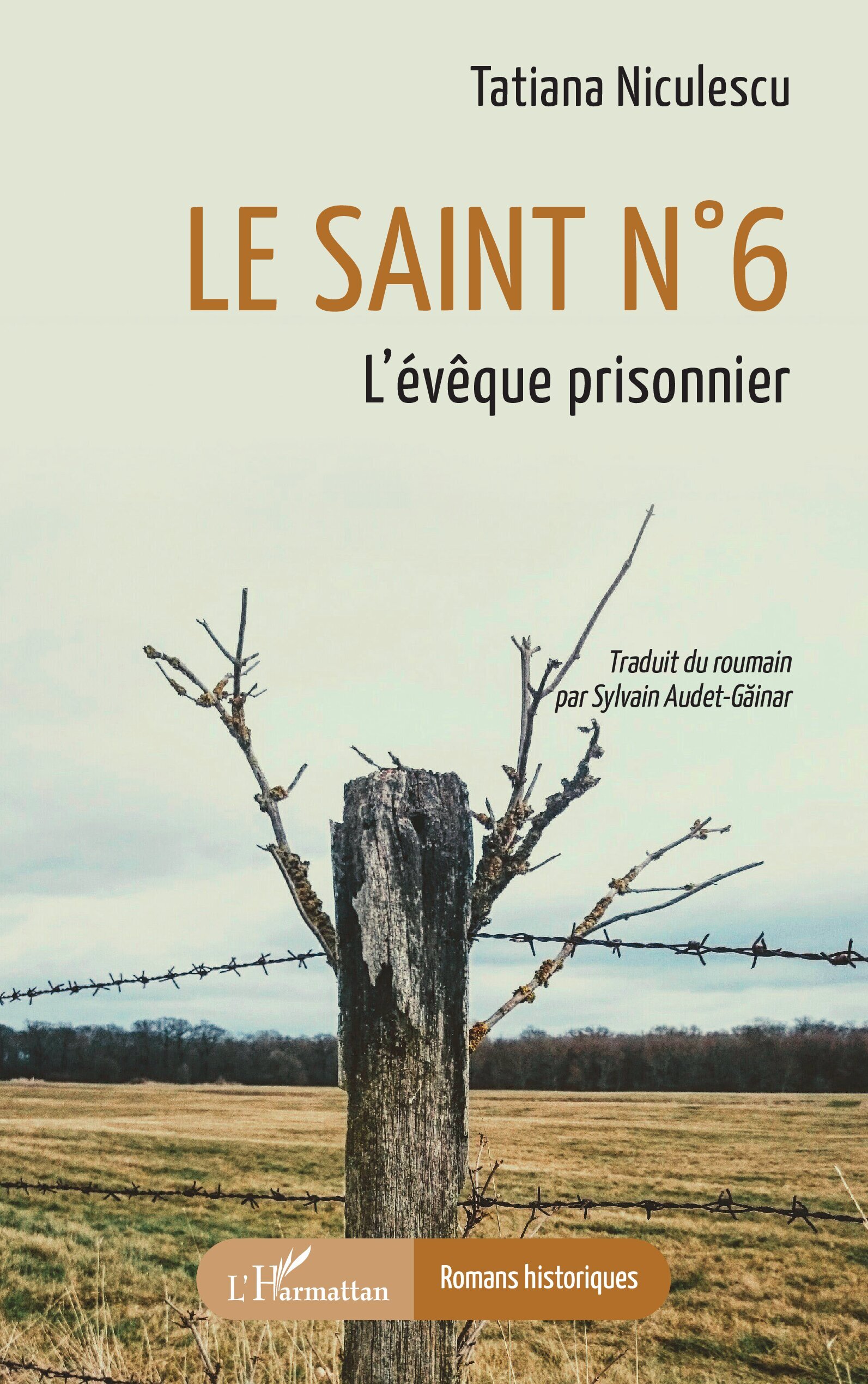 Le saint n° 6, L’évêque prisonnier (9782336579894-front-cover)