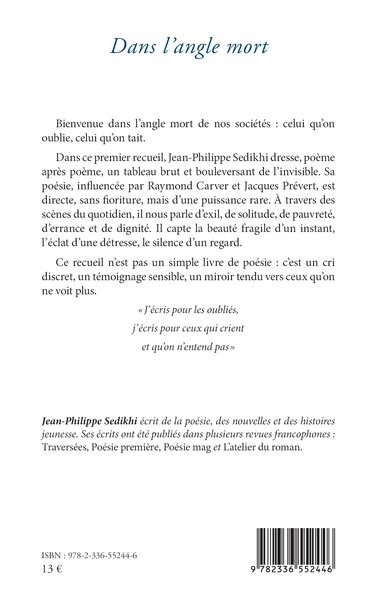 Dans l’angle mort (9782336552446-back-cover)