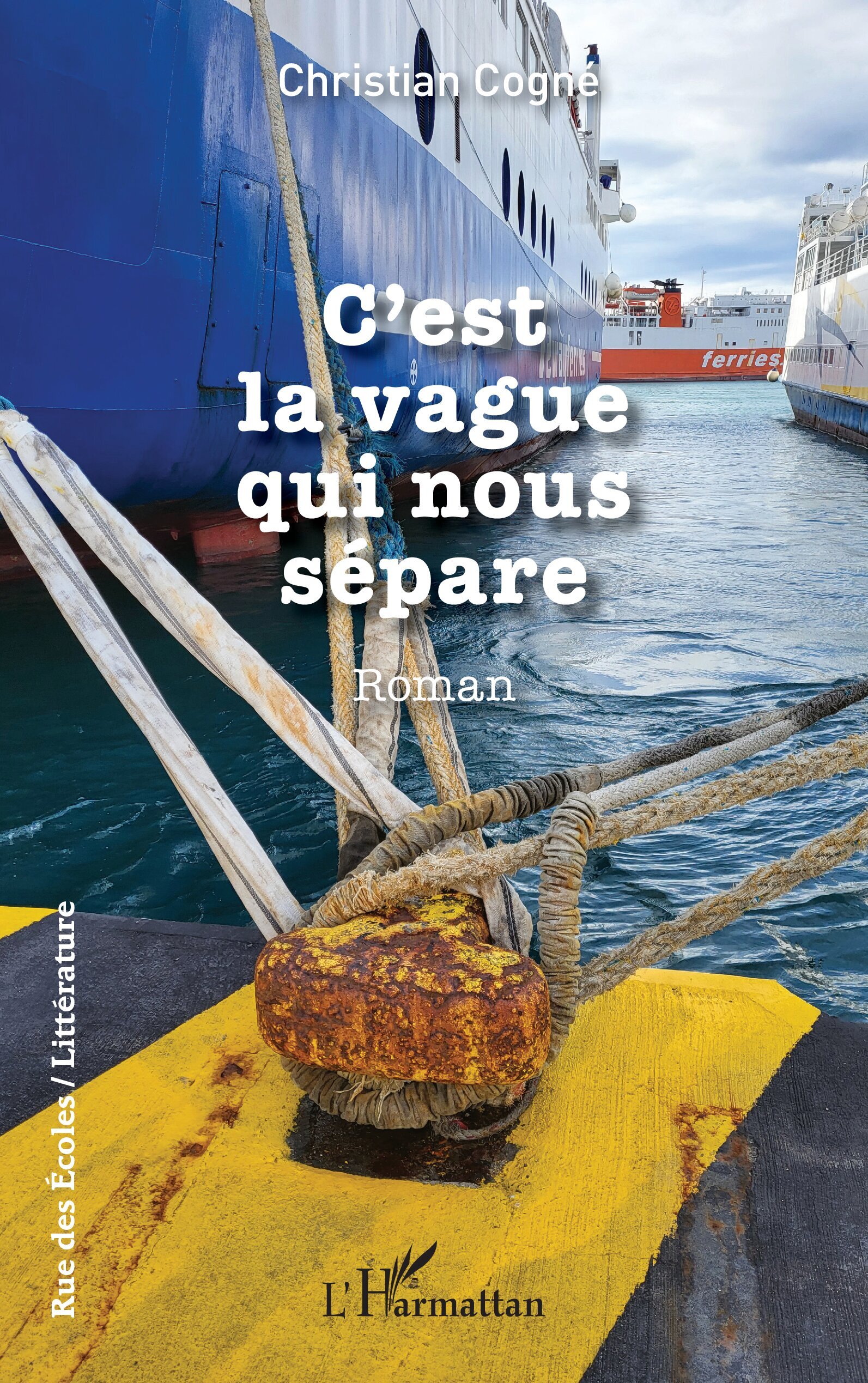 C’est la vague qui nous sépare (9782336599731-front-cover)