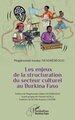 Les enjeux de la structuration du secteur culturel au Burkina Faso (9782336594668-front-cover)