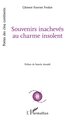 Souvenirs inachevés au charme insolent (9782336578996-front-cover)