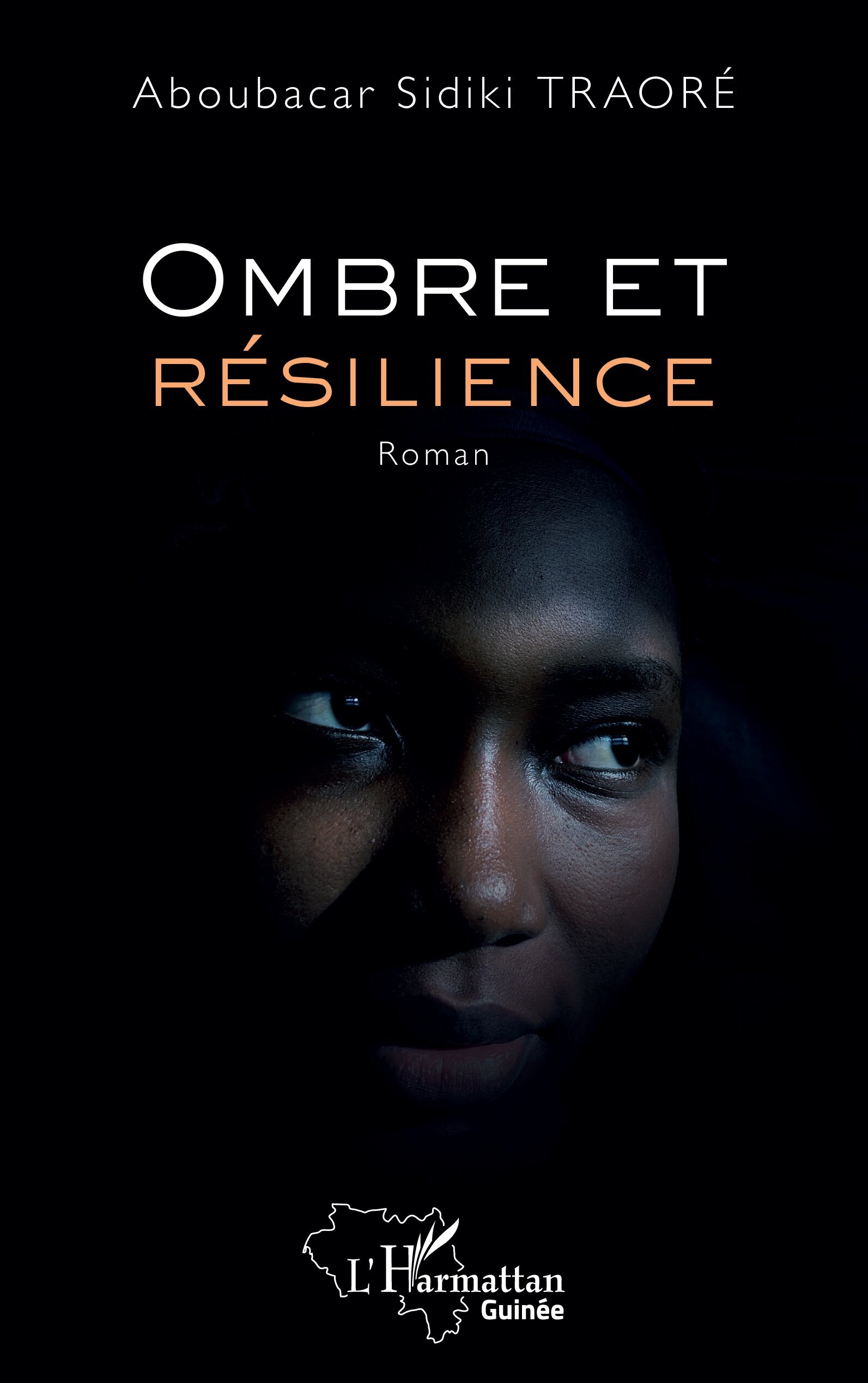 Ombre et résilience (9782336535548-front-cover)