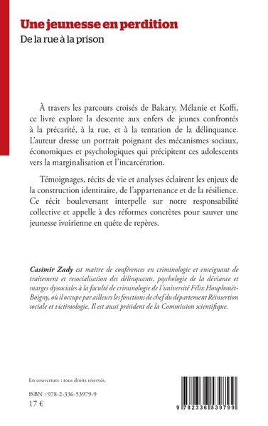 Une jeunesse en perdition, De la rue à la prison (9782336539799-back-cover)
