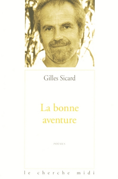 La bonne aventure (9782749100524-front-cover)