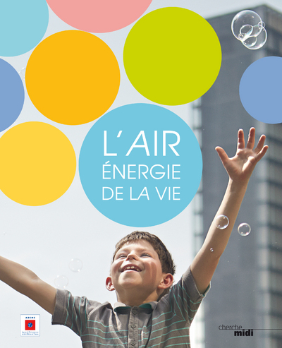 L'air, énergie de la vie (9782749133737-front-cover)