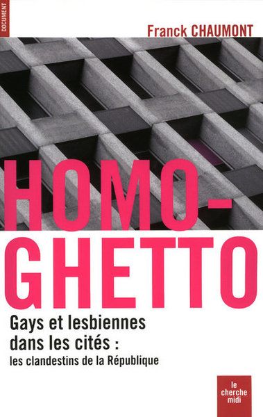 Homo-Ghetto - Gays et lesbiennes dans les cités: les clandestins de la république (9782749109435-front-cover)