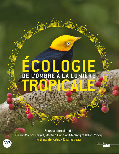 Ecologie tropicale - De l'ombre à la lumière (9782749140759-front-cover)