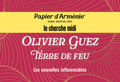 Terre de feu (9782749187426-front-cover)