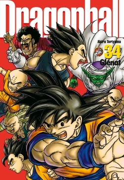 Dragon Ball perfect edition - Tome 34 (9782344004289-front-cover)