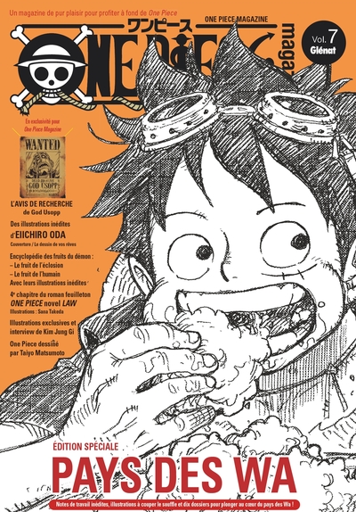 One Piece Magazine - Tome 07 (9782344041628-front-cover)