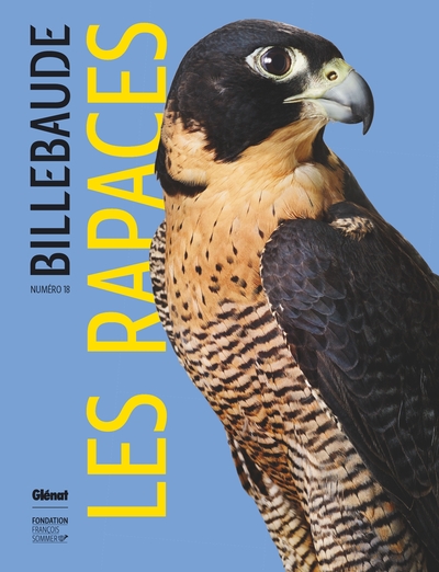 Billebaude - Tome 18, Rapaces (9782344047774-front-cover)