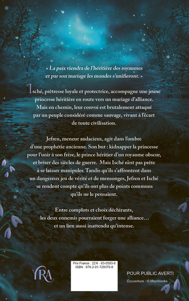 Le prince des brumes (9782017293798-back-cover)