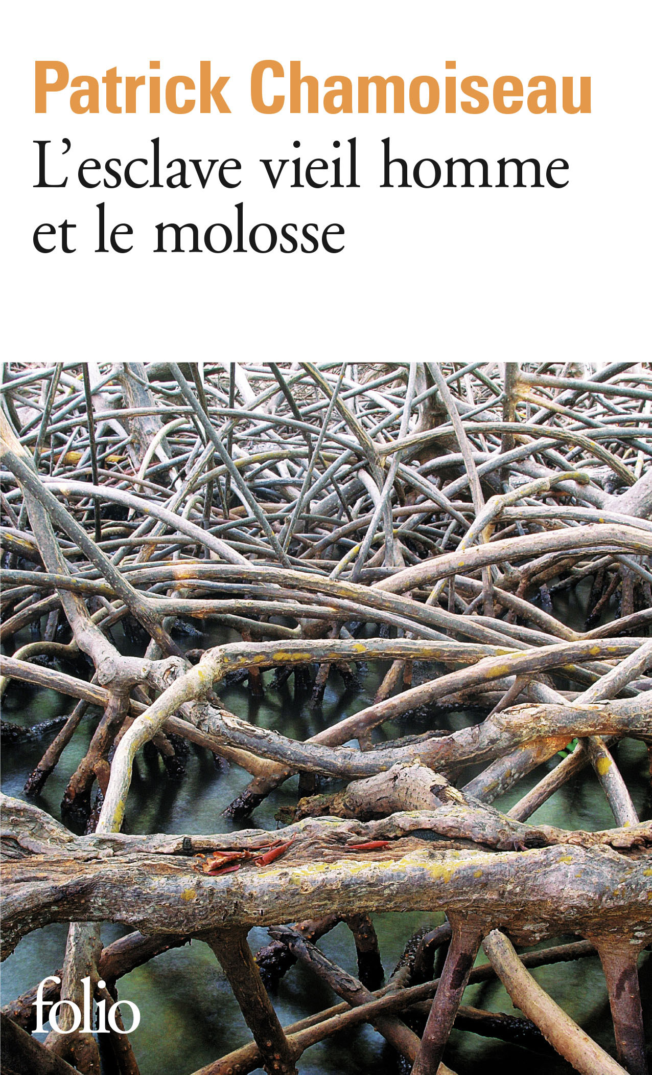 L'esclave vieil homme et le molosse (9782070408733-front-cover)