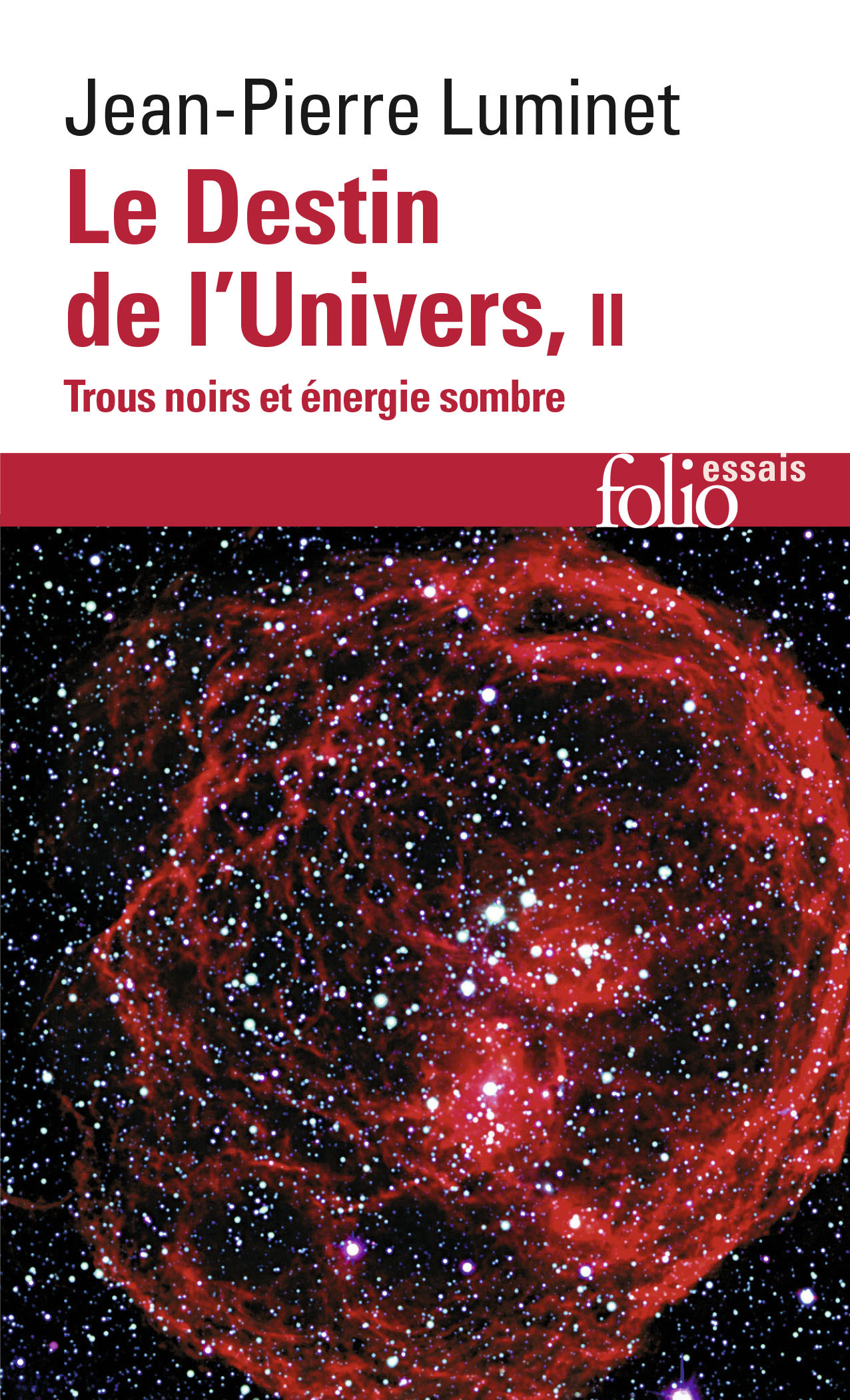 Le Destin de l'Univers, Trous noirs et énergie sombre (9782070439775-front-cover)
