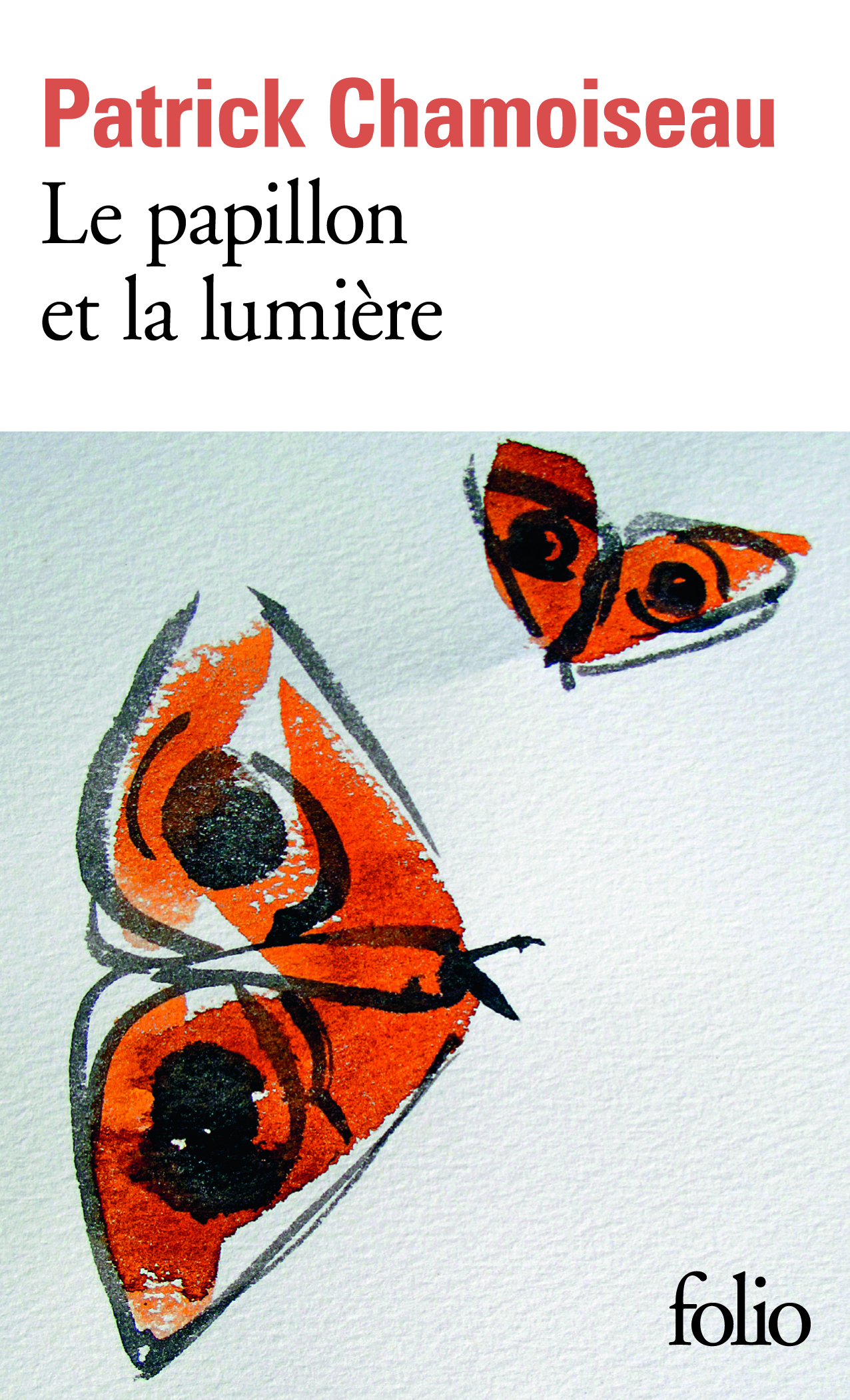 Le papillon et la lumière (9782070450039-front-cover)