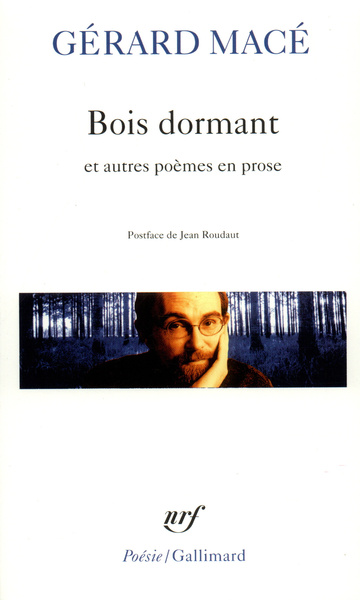 Bois dormant et autres poèmes en prose (9782070423453-front-cover)