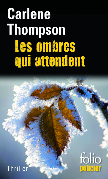Les ombres qui attendent (9782070446094-front-cover)