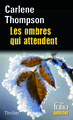 Les ombres qui attendent (9782070446094-front-cover)