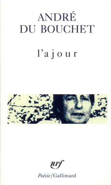 L'Ajour (9782070405862-front-cover)