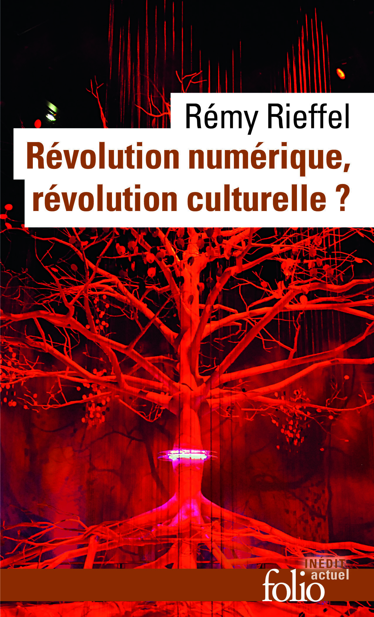 Révolution numérique, révolution culturelle ? (9782070451722-front-cover)