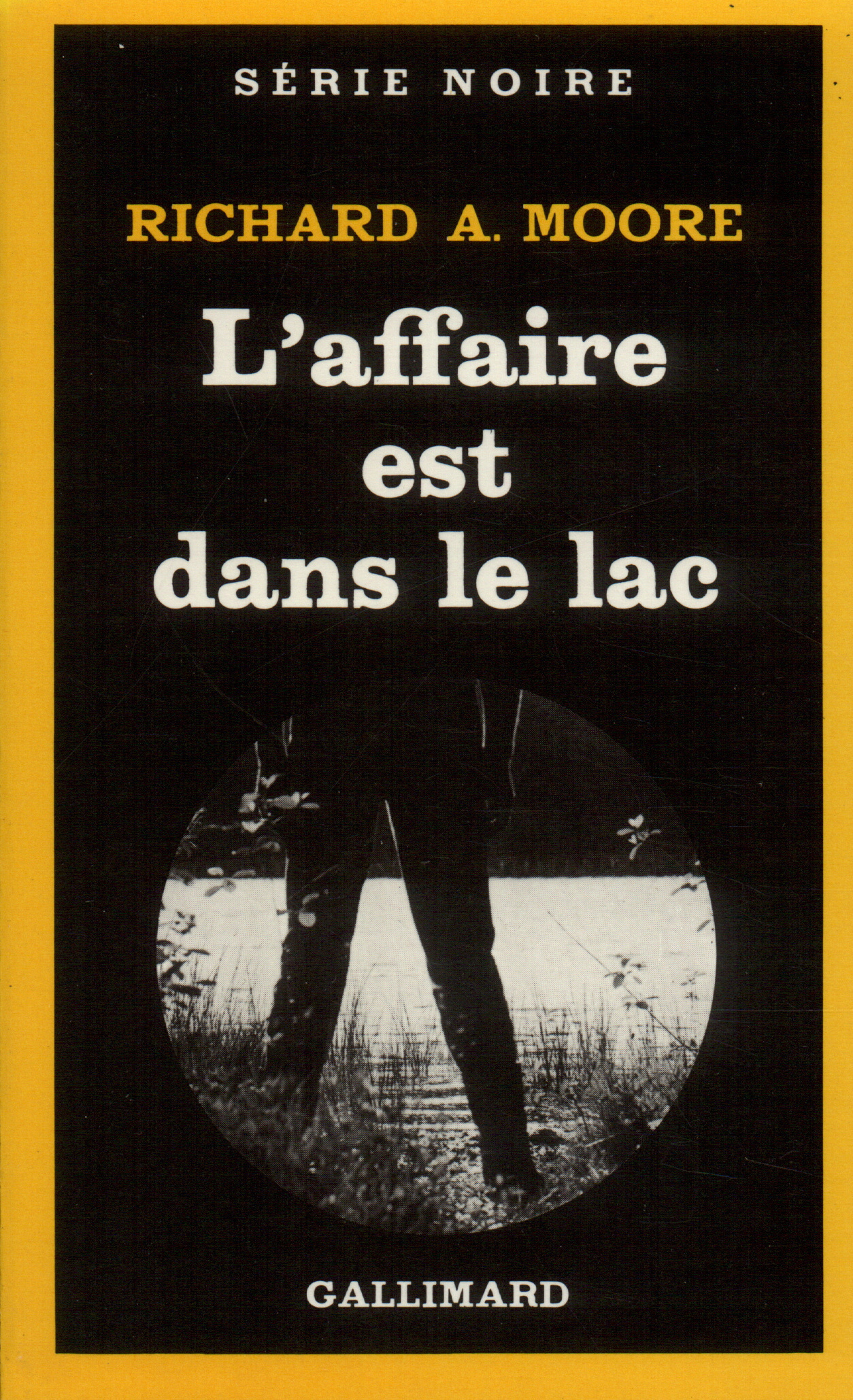 L'affaire est dans le lac (9782070489251-front-cover)