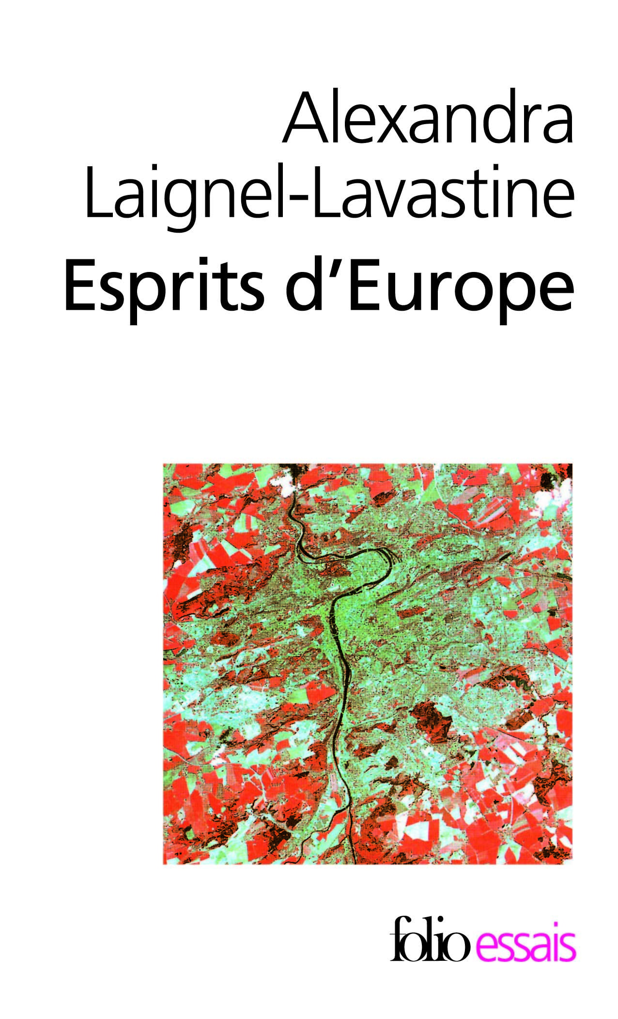 Esprits d'Europe, Autour de Czeslaw Milosz, Jan Patočka, István Bibó. Essai sur les intellectuels d'Europe centrale au XXᵉ siècl (9782070435890-front-cover)