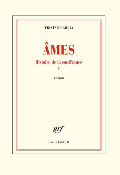 Âmes (9782072798344-front-cover)