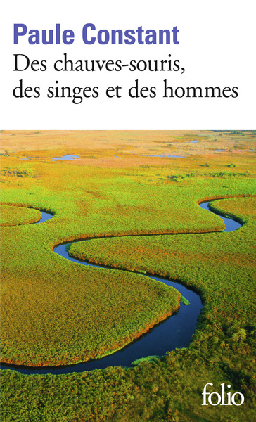 Des chauves-souris, des singes et des hommes (9782072716249-front-cover)