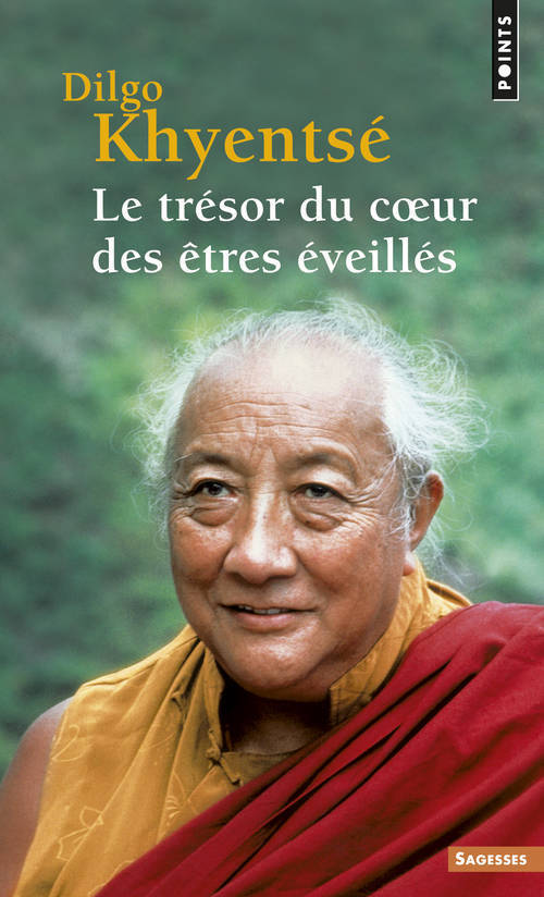 Le Trésor du coeur des êtres éveillés. Pratique de la vue, de la méditation et de l'action (9782020227773-front-cover)