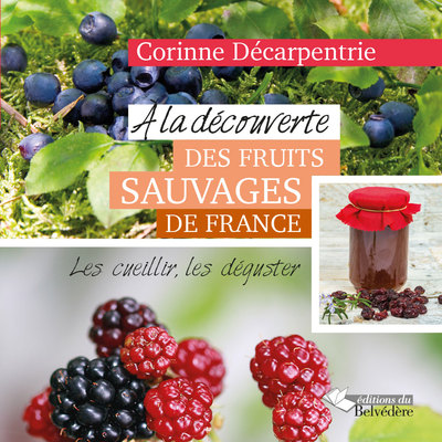A la découverte des fruits sauvages, Les cueillir, les déguster (9782884194778-front-cover)