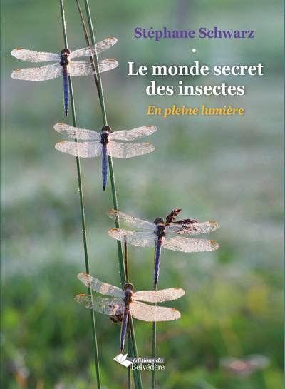 Le monde secret des insectes, En pleine lumière (9782884194433-front-cover)