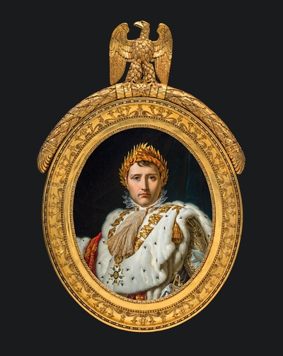 Napoléon. La maison de l'Empereur (9782754110419-front-cover)