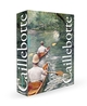 Caillebotte. Coffret l'essentiel (9782754113076-front-cover)