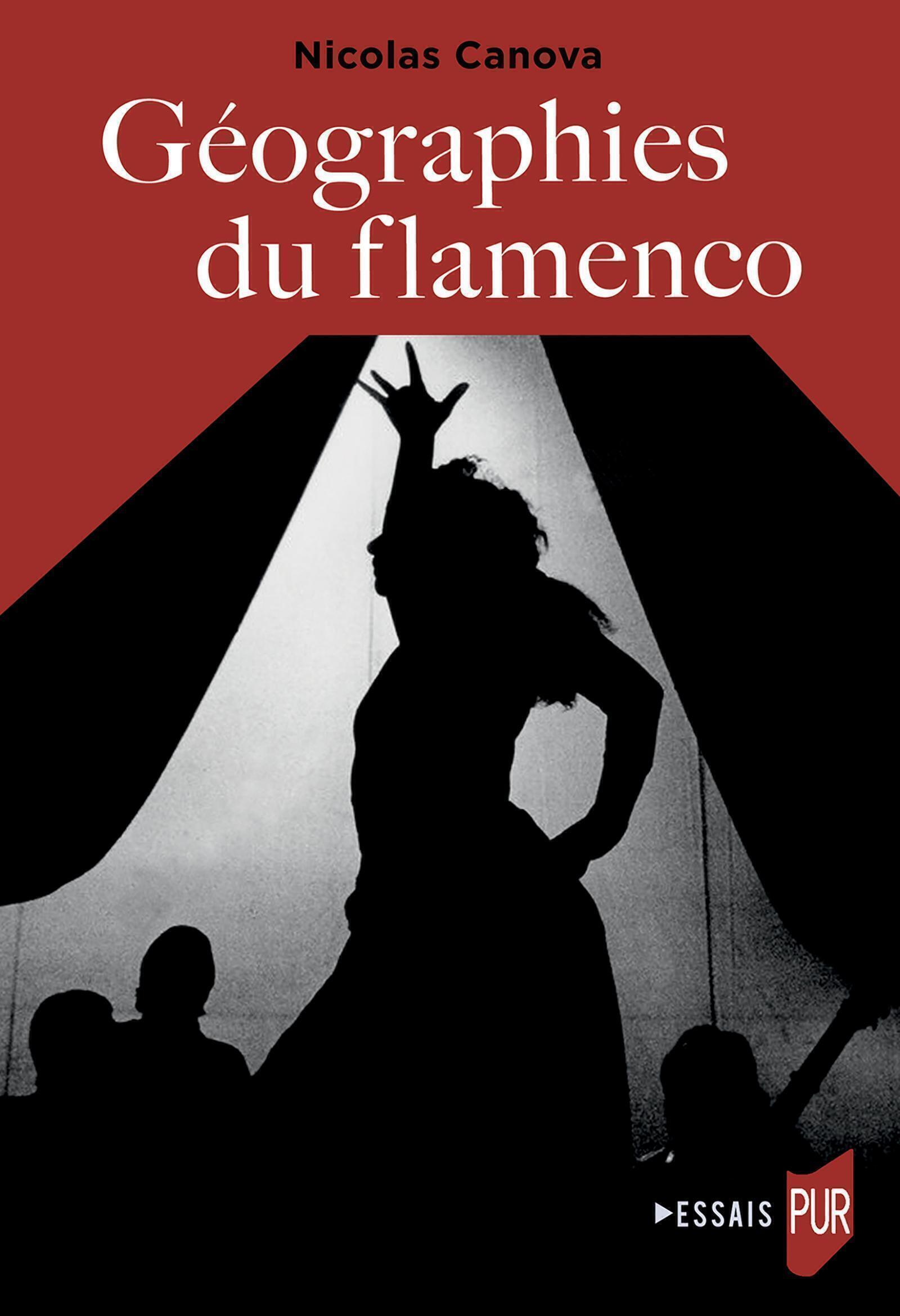 Géographies du flamenco (9782753598232-front-cover)