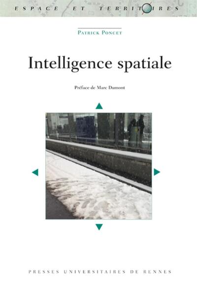 Intelligence spatiale, Préface de Marc Dumont (9782753555358-front-cover)