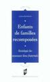 ENFANTS DE FAMILLES RECOMPOSEES. SOCIOLOGIE DES NOUVEAUX LIENS FRATERNELS (9782753502161-front-cover)