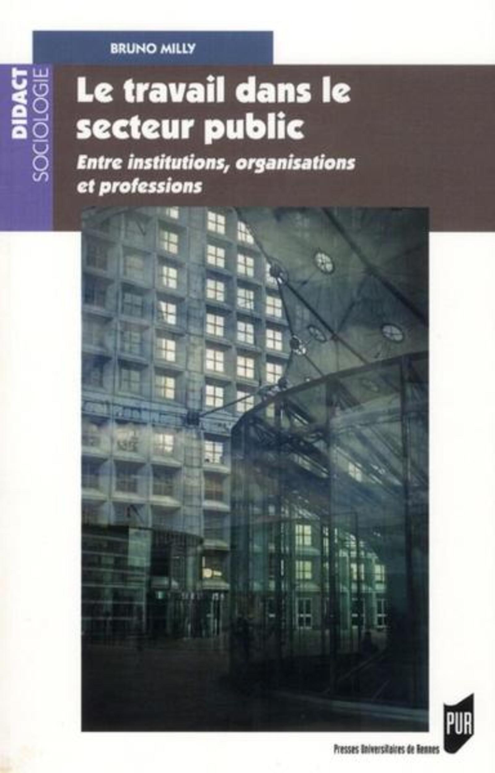 TRAVAIL DANS LE SECTEUR PUBLIC (9782753520240-front-cover)