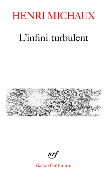 L'Infini turbulent (9782070328512-front-cover)