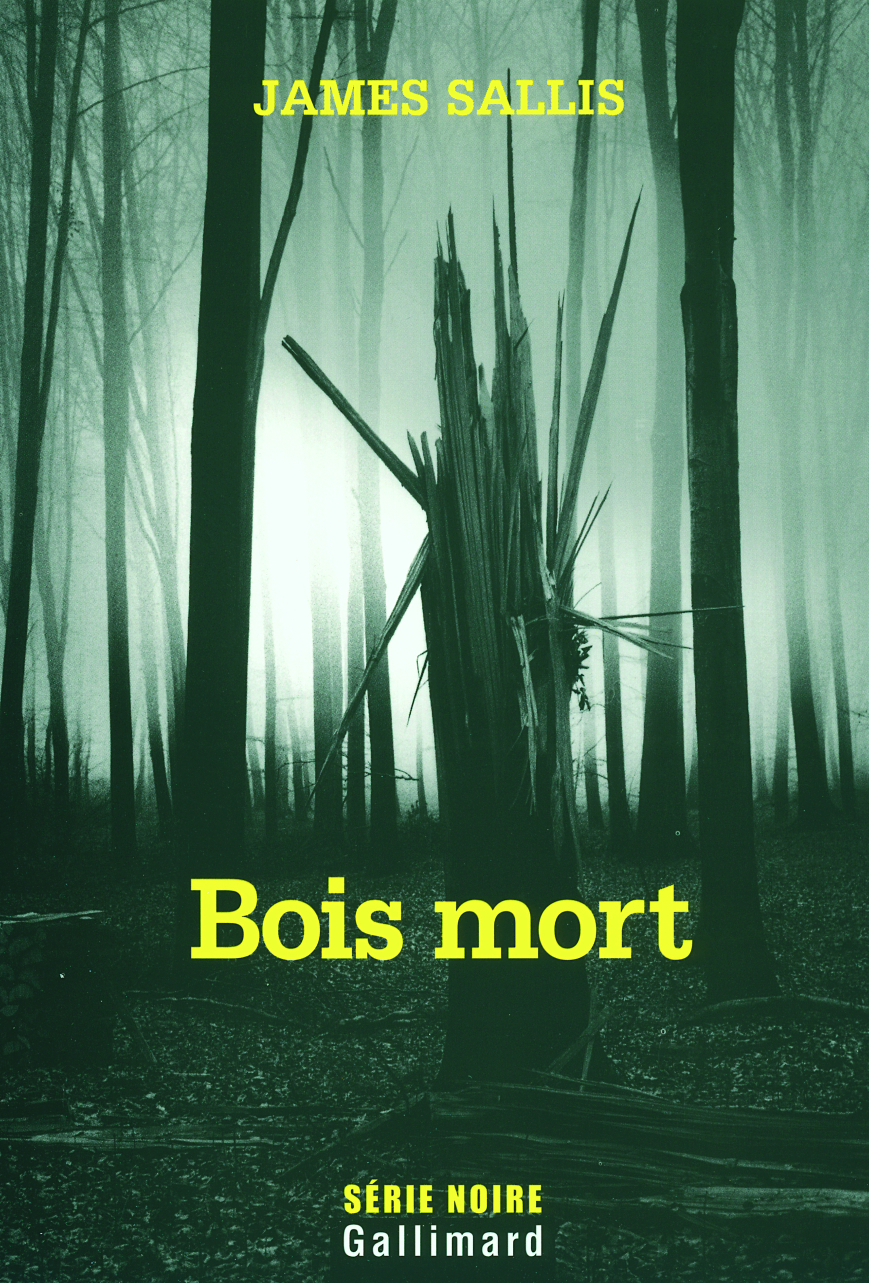 Bois mort, Une enquête de John Turner (9782070316755-front-cover)