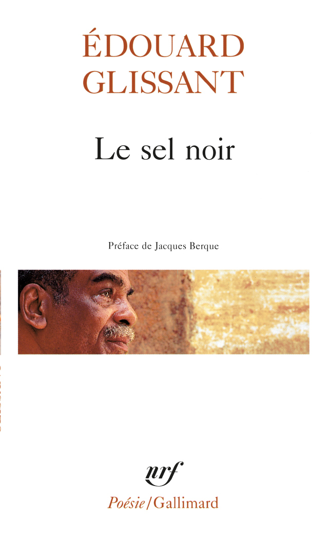 Le sel noir - Le sang rivé - Boises (9782070322404-front-cover)