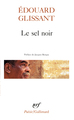 Le sel noir - Le sang rivé - Boises (9782070322404-front-cover)