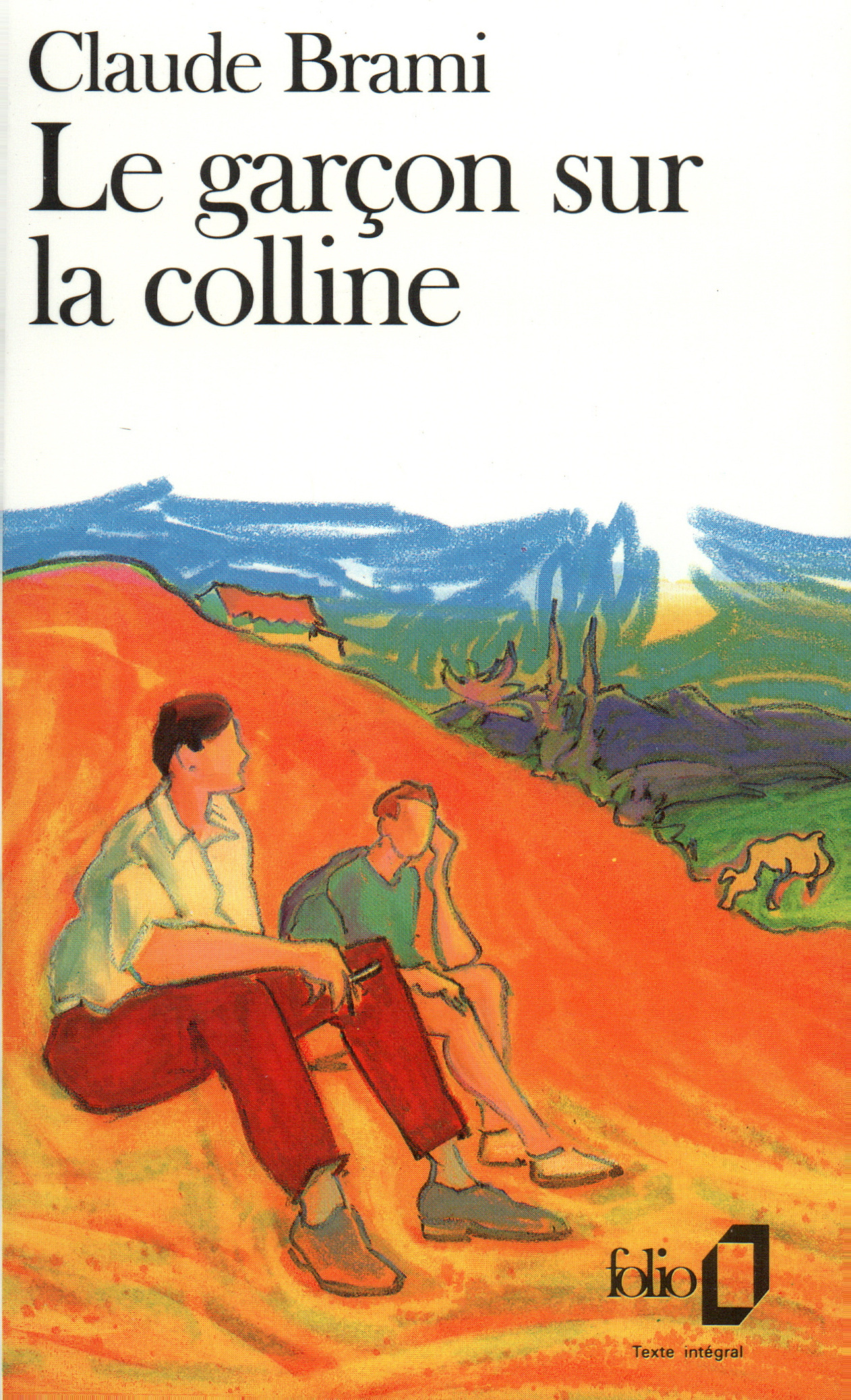 Le Garçon sur la colline (9782070373970-front-cover)