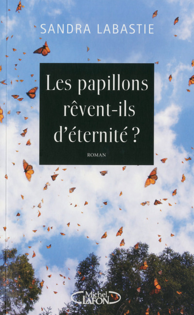 Les papillons rêvent-ils aussi d'éternité ? (9782749922034-front-cover)