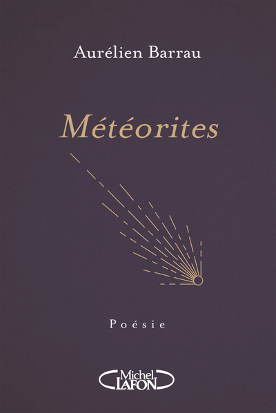 Météorites (9782749944951-front-cover)