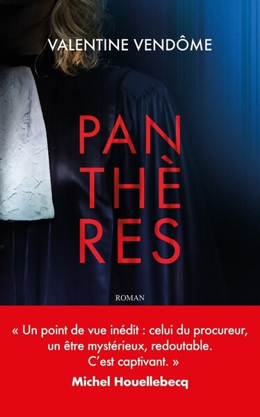 Panthères (9782749962399-front-cover)